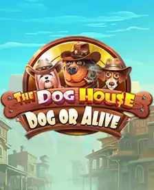 The Dog House - Dog or Alive The Dog House - Dog or Alive